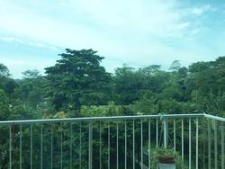 Tree House (D23), Condominium #154218602